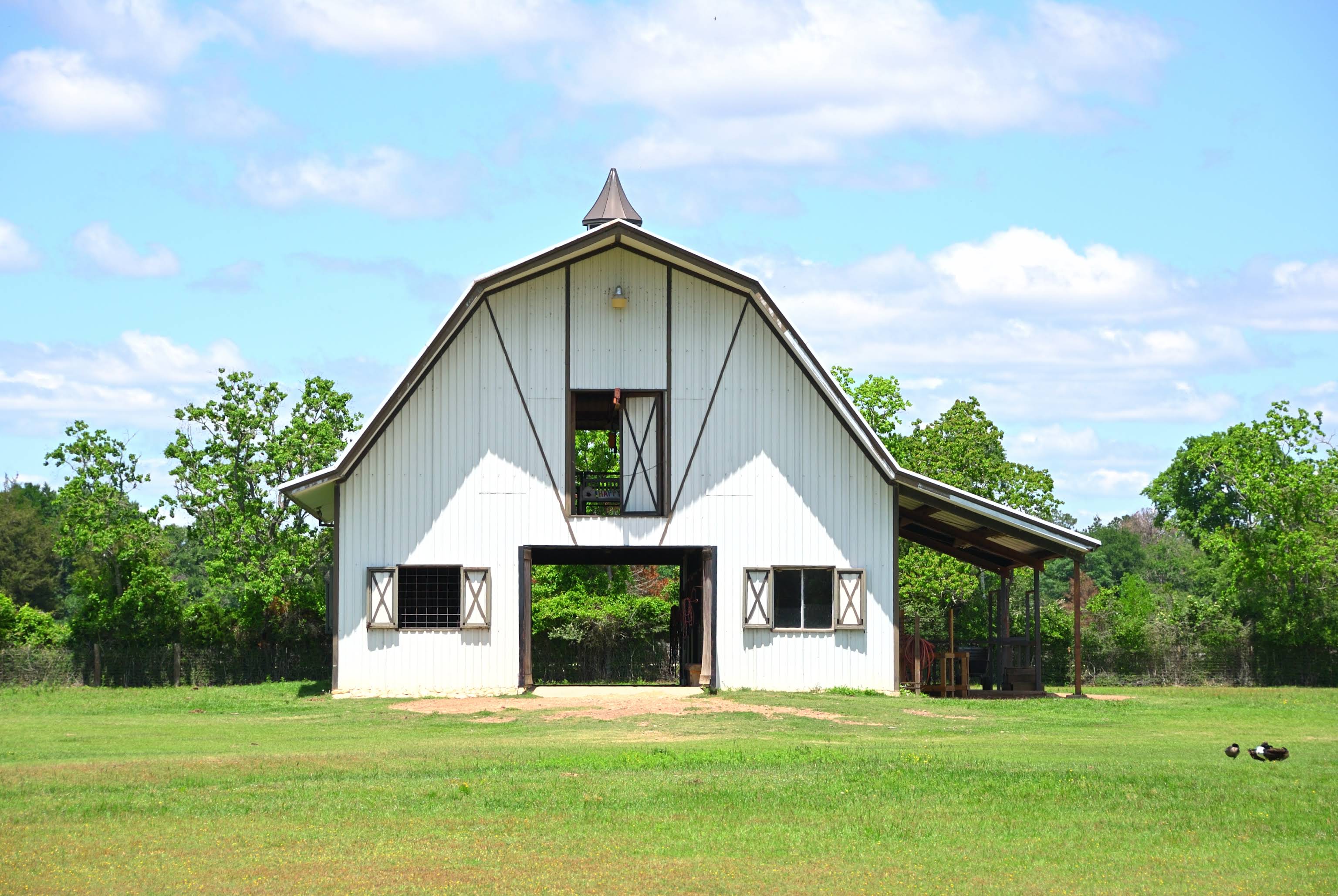 Photography session at the farm